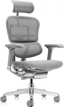 Ergohuman Luxury 2