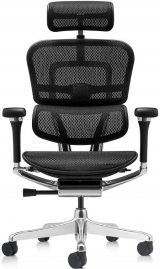 Ergohuman Luxury 2