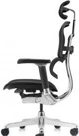 Ergohuman Luxury 2